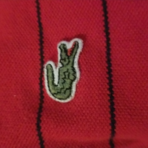 Lacoste Crop Top - Picture 3 of 3